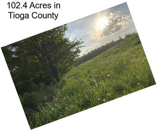102.4 Acres in Tioga County