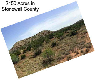 2450 Acres in Stonewall County