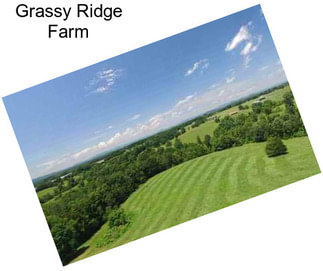 Grassy Ridge Farm