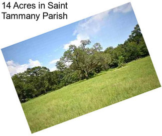 14 Acres in Saint Tammany Parish