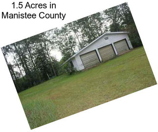 1.5 Acres in Manistee County