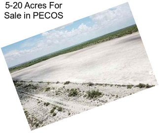 5-20 Acres For Sale in PECOS