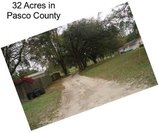 32 Acres in Pasco County