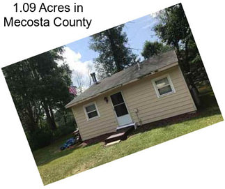 1.09 Acres in Mecosta County