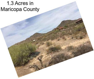 1.3 Acres in Maricopa County