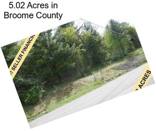 5.02 Acres in Broome County