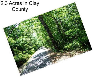 2.3 Acres in Clay County