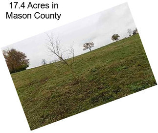 17.4 Acres in Mason County