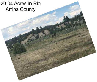 20.04 Acres in Rio Arriba County