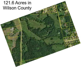 121.6 Acres in Wilson County