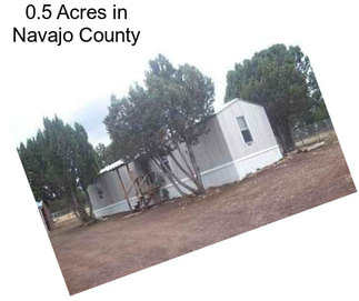 0.5 Acres in Navajo County