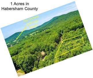 1 Acres in Habersham County