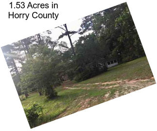 1.53 Acres in Horry County