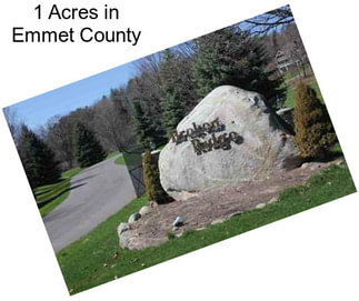 1 Acres in Emmet County