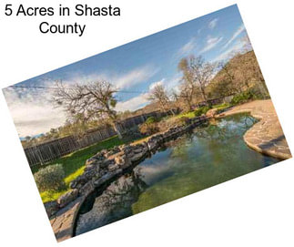 5 Acres in Shasta County