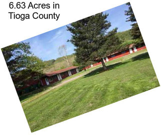 6.63 Acres in Tioga County