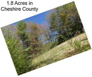 1.8 Acres in Cheshire County