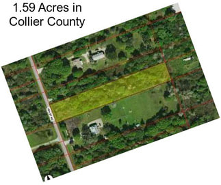 1.59 Acres in Collier County