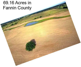 69.16 Acres in Fannin County