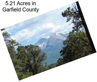 5.21 Acres in Garfield County