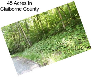 45 Acres in Claiborne County