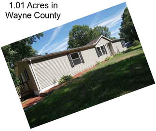 1.01 Acres in Wayne County