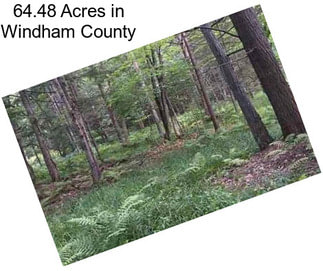 64.48 Acres in Windham County