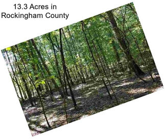 13.3 Acres in Rockingham County