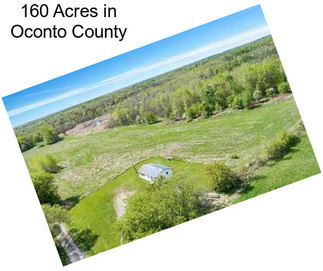 160 Acres in Oconto County