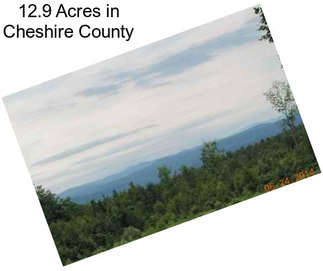 12.9 Acres in Cheshire County