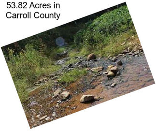 53.82 Acres in Carroll County