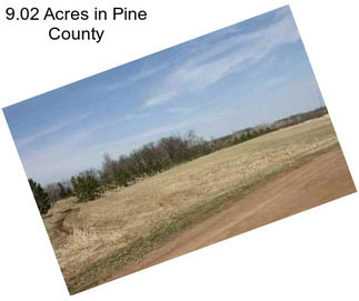 9.02 Acres in Pine County