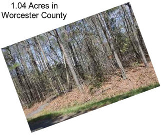 1.04 Acres in Worcester County