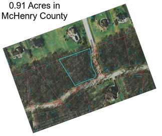 0.91 Acres in McHenry County