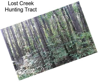 Lost Creek Hunting Tract