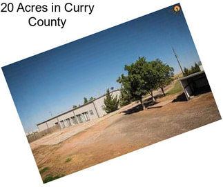 20 Acres in Curry County