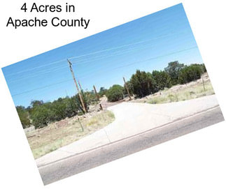 4 Acres in Apache County