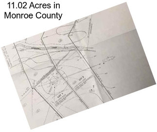 11.02 Acres in Monroe County