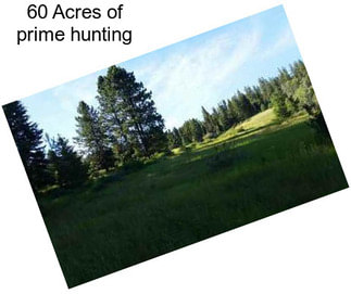 60 Acres of prime hunting