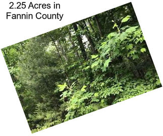 2.25 Acres in Fannin County