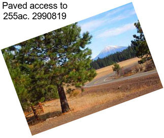 Paved access to 255ac. 2990819