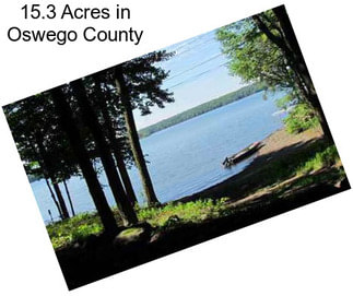 15.3 Acres in Oswego County