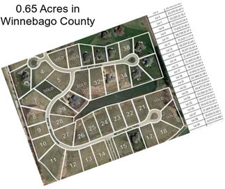 0.65 Acres in Winnebago County