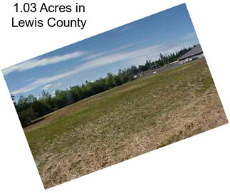 1.03 Acres in Lewis County