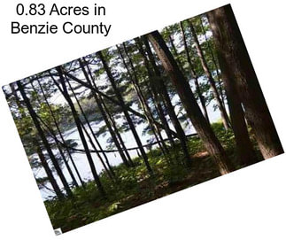 0.83 Acres in Benzie County