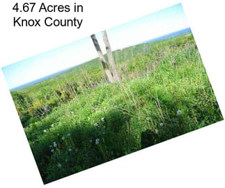 4.67 Acres in Knox County