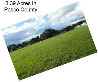 3.39 Acres in Pasco County