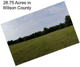 28.75 Acres in Wilson County