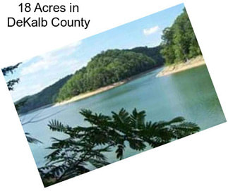 18 Acres in DeKalb County