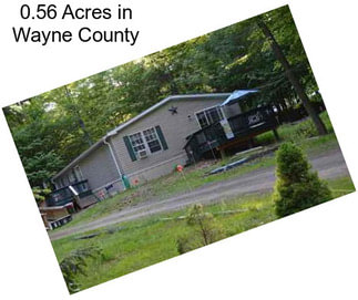 0.56 Acres in Wayne County